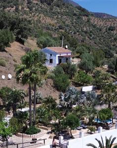 una casa en la cima de una colina con palmeras en Finca el Moralejo 6 persons cottage en Tolox