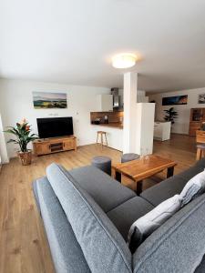 ein Wohnzimmer mit einem Sofa und einem TV in der Unterkunft Winterberg Appartement 21129 in Winterberg