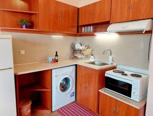 une petite cuisine avec un lave-linge et un évier dans l'établissement Cozy apartment with top view, Wi-Fi & parking, à Stara Zagora