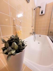ein Badezimmer mit einer Topfpflanze neben einer Badewanne in der Unterkunft Winterberg Appartement 21088 in Winterberg
