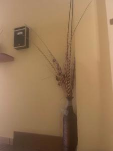 un jarrón con una planta en la esquina de una habitación en La Posá en Villar del Arzobispo
