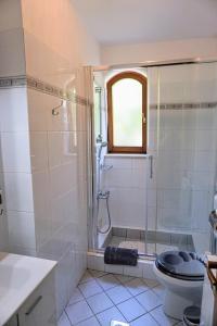 a bathroom with a shower and a toilet at Apartment Stefica in Crveni Vrh