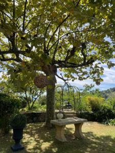 un banco del parque sentado bajo un árbol en un parque en Bastide Aïna SPA et piscine, en Grasse