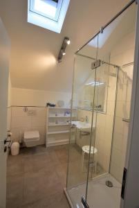 e bagno con doccia, servizi igienici e lavandino. di Meeresblick-Strandkorb-Haus-3-WE-46 a Hohwacht