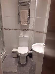 a small bathroom with a toilet and a sink at Cosy Studio Flat in London