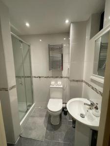 e bagno con servizi igienici, lavandino e doccia. di Cosy Studio Flat a Londra