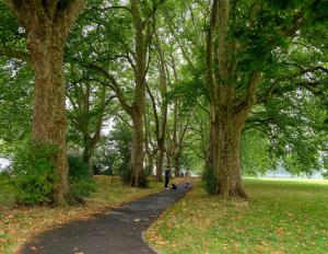 une personne qui promet un chien sur un chemin à travers un parc dans l'établissement The Hidden Fishponds Gem, à Bristol