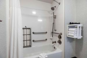 Koupelna v ubytování Hampton Inn Fort Collins