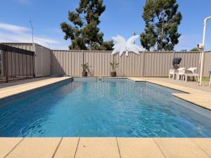 a swimming pool with two white birds on a fence at Settlement Motor Inn in Deniliquin