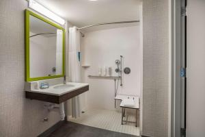 Hampton Inn Gadsden的一间浴室