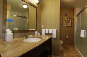 a bathroom with a sink and a toilet and a mirror at Hampton Inn & Suites Grand Forks in Grand Forks