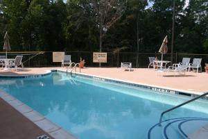 a dog is sitting next to a swimming pool at Hampton Inn Kilgore in Kilgore