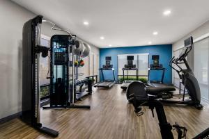 een fitnessruimte met loopbanden en crosstrainers in een kamer bij Hampton Inn & Suites Schererville in Schererville