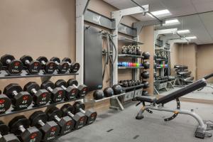 a gym with lots of dumbbells on shelves at Hampton Inn & Suites Houston-Cypress Station in Westfield