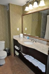 a bathroom with a sink and a mirror and a toilet at Hampton Inn and Suites Houston-Katy in Katy