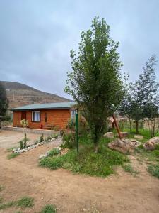 a house with a tree in front of it at La Serena Cabaña de campo entre cactus y colibríes in La Serena
