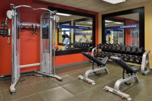 a gym with two rows of tread machines and mirrors at Hampton Inn Idaho Falls / Airport in Idaho Falls