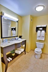 Hampton Inn & Suites Moreno Valley的一间浴室