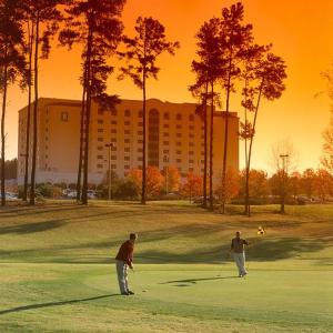 Embassy Suites Greenville Golf Resort & Conference Center في غرينفيل: رجلان يلعبان الغولف على ملعب للجولف