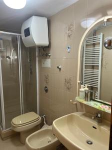 ein Bad mit einem WC, einem Waschbecken und einer Dusche in der Unterkunft casita verde in Scanno