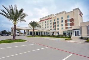 ヒューストンにあるHilton Garden Inn Houston Hobby Airportの駐車場のヤシの木があるホテル
