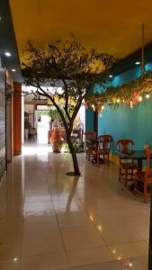 Εστιατόριο ή άλλο μέρος για φαγητό στο Hotel Aloha Managua