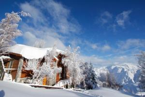 聖地亞哥的住宿－La Cornisa Lodge，雪覆盖着雪覆盖的树木的房子
