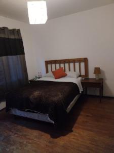 1 dormitorio con 1 cama con manta marrón en La Cortesana, en Ciudad de México