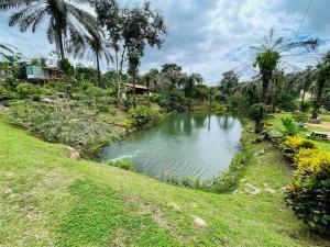 a pond in the middle of a lush green field at Chega de Saudade in Puerto Quito