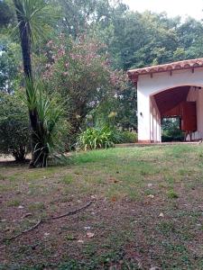 un patio con un edificio y una palmera en CASA DE CAMPO EN SAN PEDRO en Río Tala