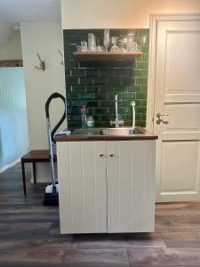uma cozinha com um lavatório e uma parede de tijolos verdes em Lyrkroken em Vittsjö