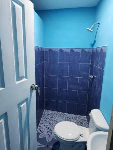 a bathroom with a toilet and a blue wall at Estadia Regalo de Dios 