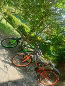 two bikes are parked next to a tree at Mohotti House in Galle