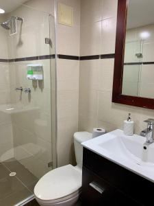 a bathroom with a shower and a toilet and a sink at Apartaestudio en cartagena COLOMBIA in Cartagena de Indias
