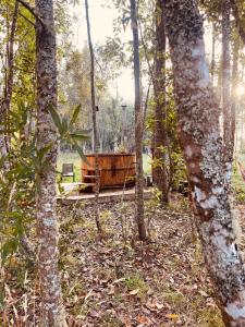 a wooden tub in the middle of a forest at Casa en el bosque-tinaja in Puerto Octay
