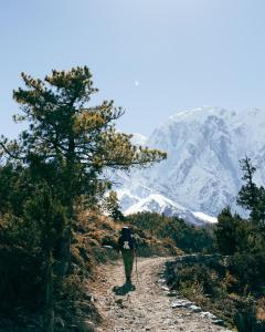 a person walking on a mountain trail with a tree at Shinta Mani Mustang in Jomsom
