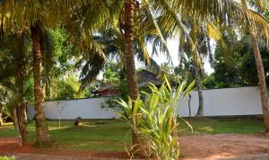 un edificio blanco con palmeras en un patio en Villa Weligama Gedara, en Weligama