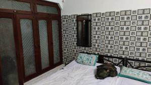 a dog laying on a bed in a room at Sonu Bhawan Banquets Prayagraj in Prayagraj