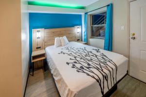 Exclusivo Inn and Suites Near Arlington Stadium في غراند براري: غرفة نوم بسرير عليها شجرة
