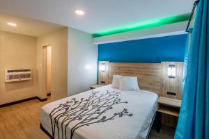 1 dormitorio con 1 cama grande y pared azul en Exclusivo Inn and Suites Near Arlington Stadium, en Grand Prairie
