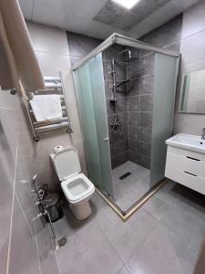 a bathroom with a shower and a toilet and a sink at Noor hotel in Baku