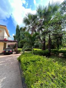 Mopearlz 4bedroom villa Nyali في مومباسا: سيارة متوقفة أمام منزل فيه نخلة