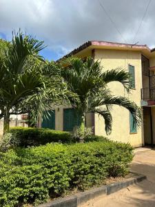 a palm tree in front of a house at Mopearlz 4bedroom villa Nyali in Mombasa
