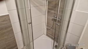 a shower with a glass door in a bathroom at Voll ausgestattet, Nähe Heiltherme Bad Waltersdorf in Ebersdorf +8 photos