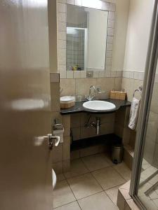 een badkamer met een wastafel en een spiegel bij Ducks Place @ 214 Mapungubwe in Johannesburg