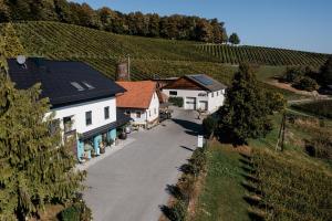 - une vue aérienne sur un village avec un vignoble dans l'établissement Winzer Suite - Weingut Dietl, à Riegersburg