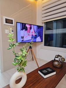 ein Wohnzimmer mit einem TV und einem Tisch mit einer Pflanze in der Unterkunft Gamseong house #Gimpo airport 10 min #Hwagok station #Netflix #Beamprojet #niceview in Seoul