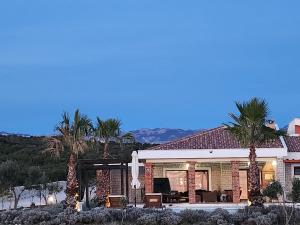 a house with palm trees in front of it at Villa Melody Novalja in Novalja