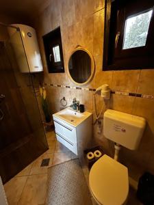 een badkamer met een toilet, een wastafel en een spiegel bij Elixír Guest House in Izvoare