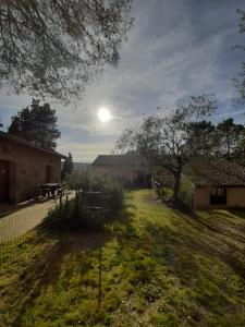 un patio con una mesa de picnic y un árbol en agriturismo il Borgo en Cetona